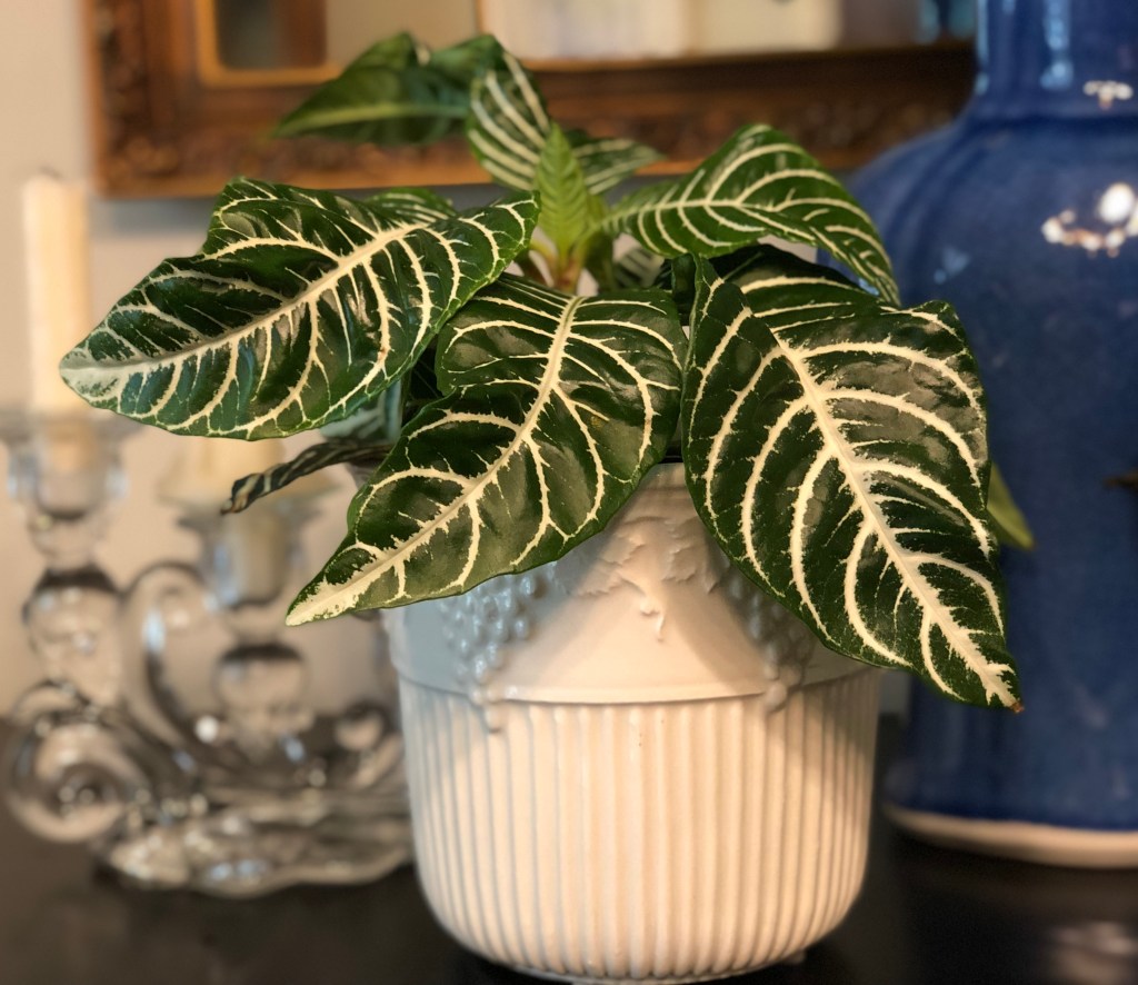 A treasured find  in a pile of&nbsp;trash