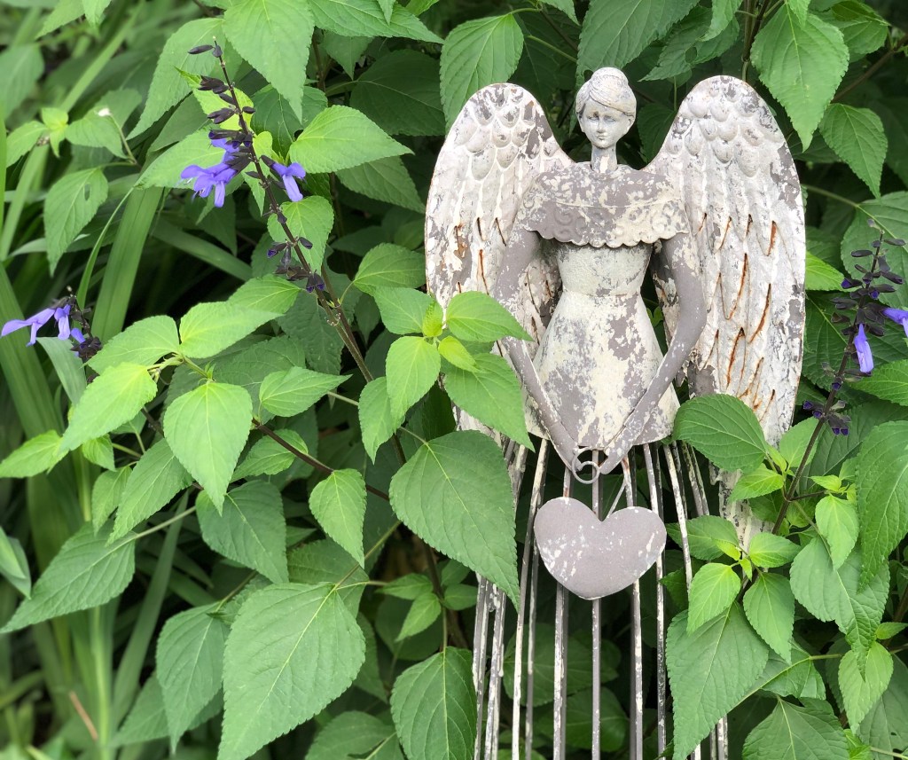 A case for&nbsp;kindness