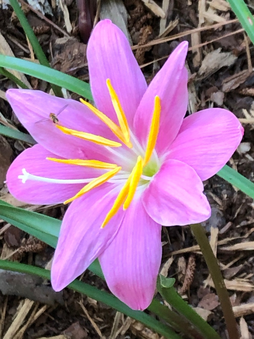 Singing in the&nbsp;rain